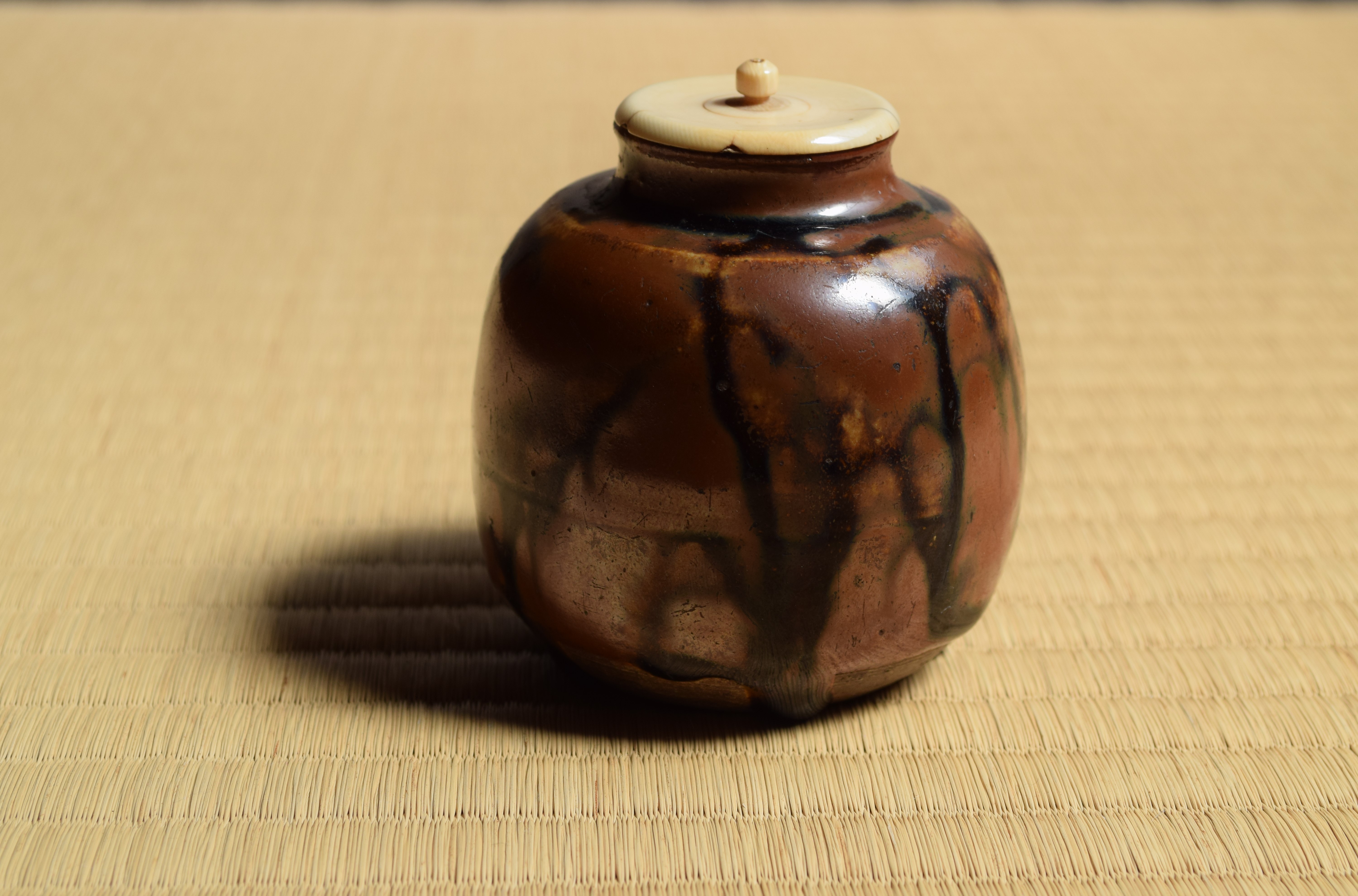瀬戸茶壺　D519 瀬戸茶壺 D519